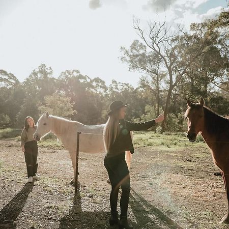 Hunter Valley Retreat Quorrobolong المظهر الخارجي الصورة