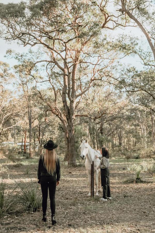 Hunter Valley Retreat Quorrobolong المظهر الخارجي الصورة