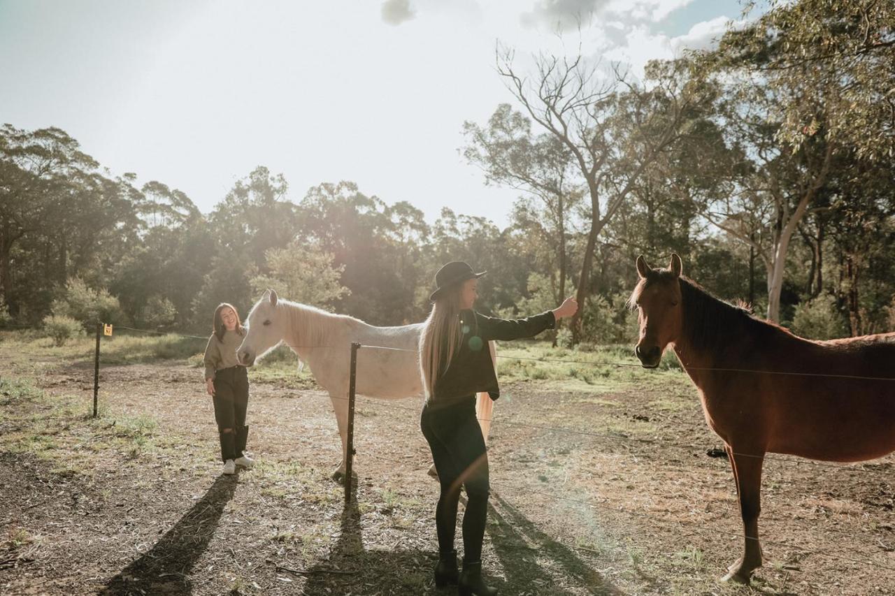 Hunter Valley Retreat Quorrobolong المظهر الخارجي الصورة