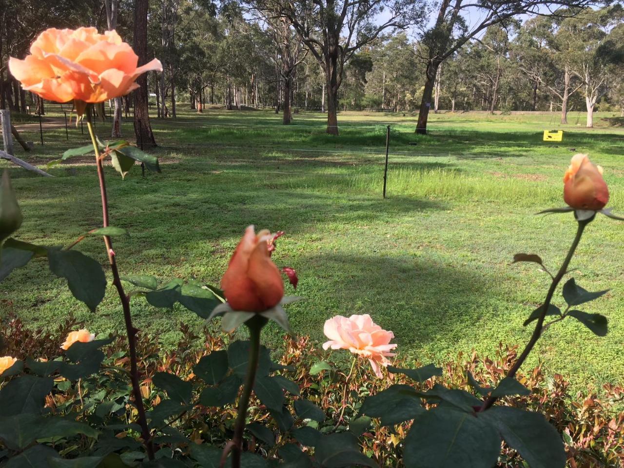 Hunter Valley Retreat Quorrobolong المظهر الخارجي الصورة