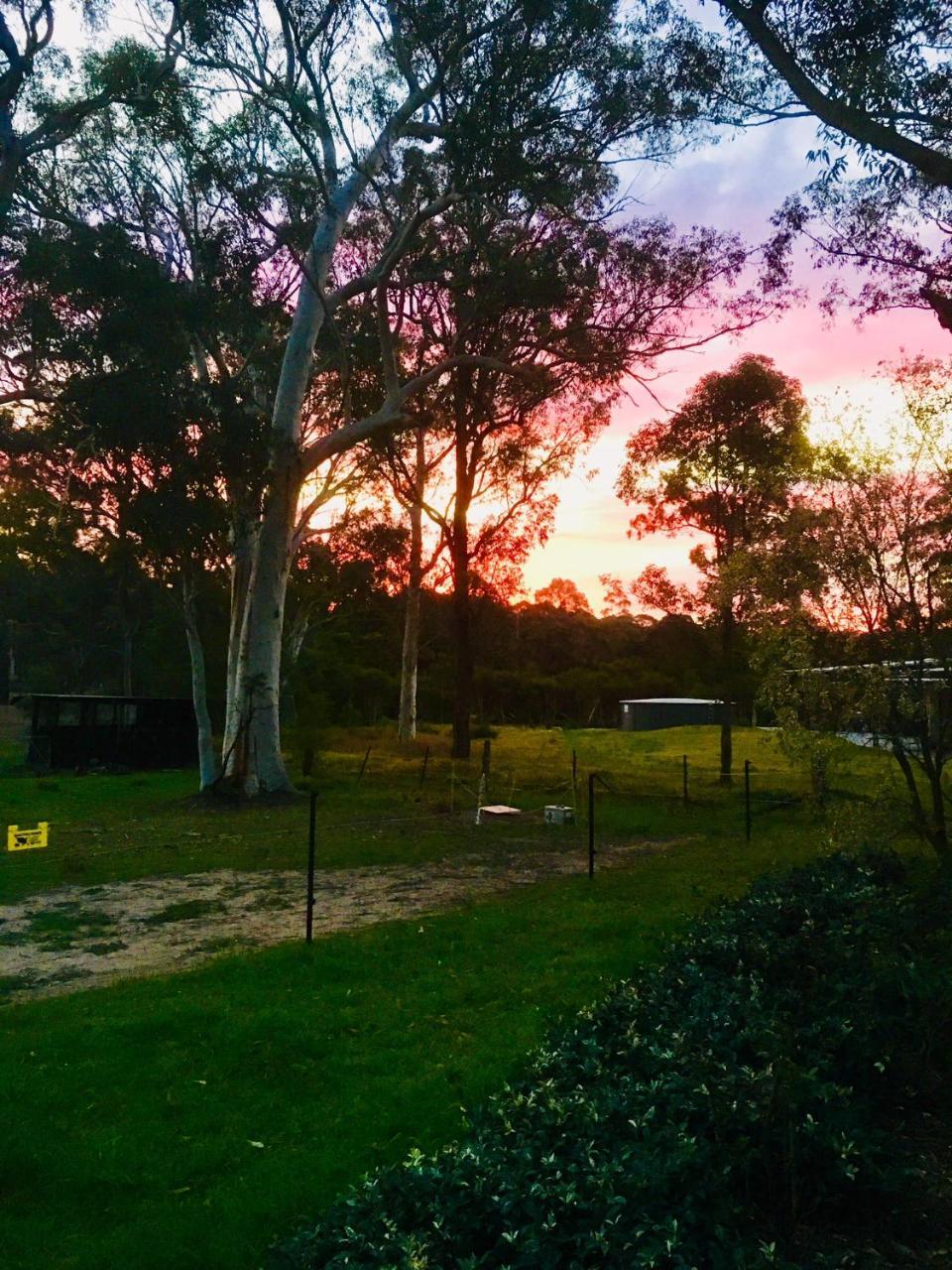 Hunter Valley Retreat Quorrobolong المظهر الخارجي الصورة