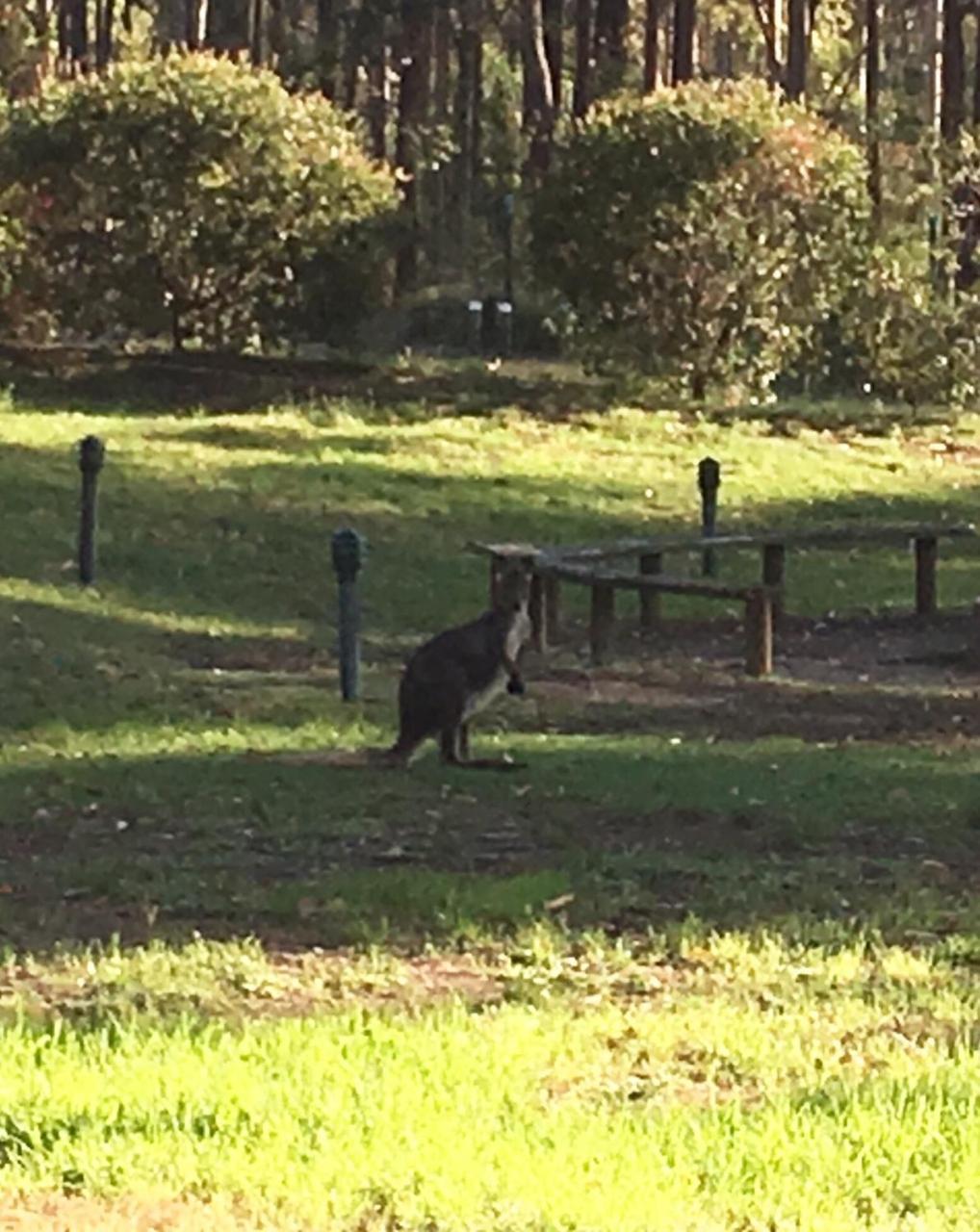 Hunter Valley Retreat Quorrobolong المظهر الخارجي الصورة