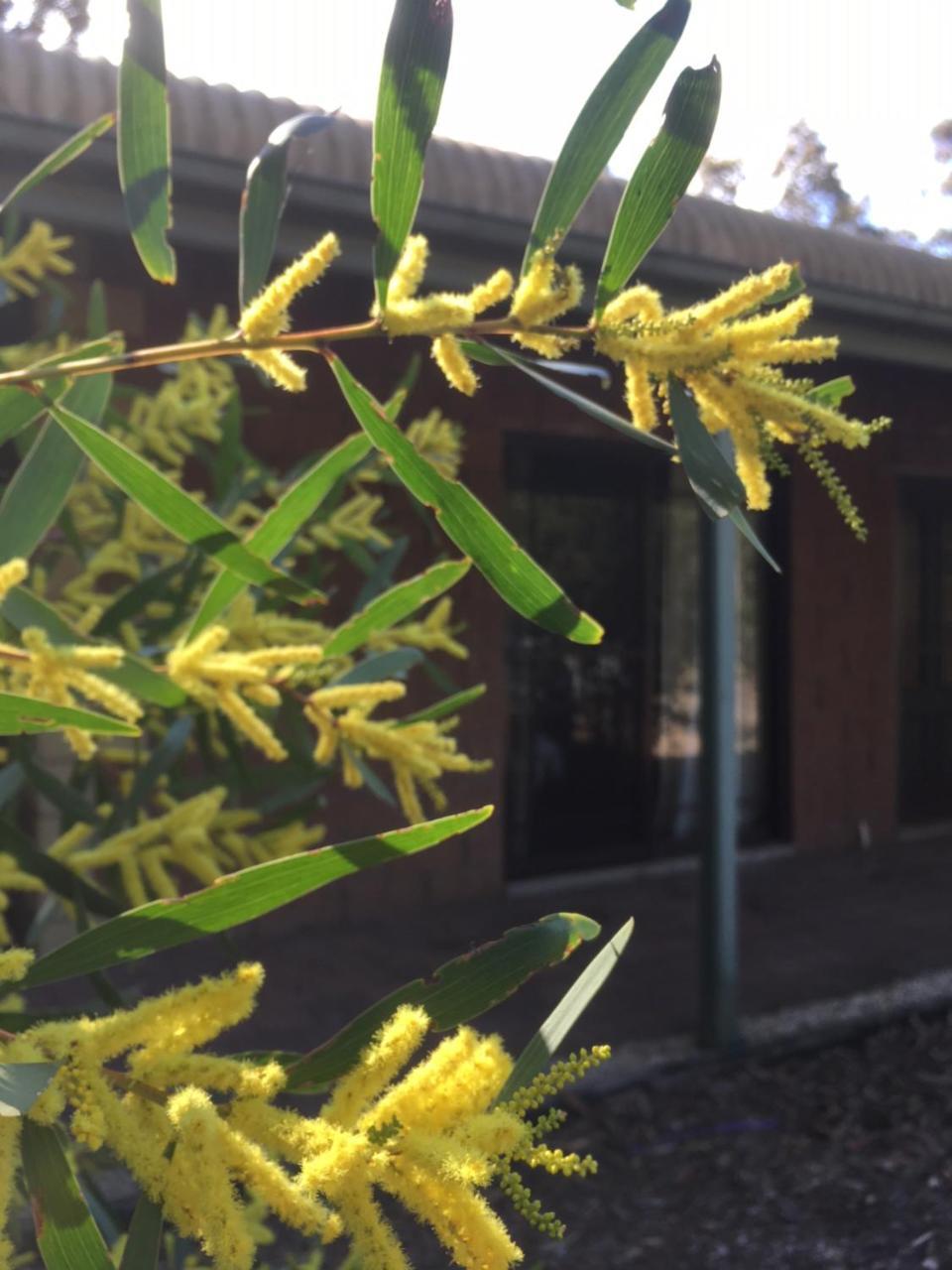 Hunter Valley Retreat Quorrobolong المظهر الخارجي الصورة
